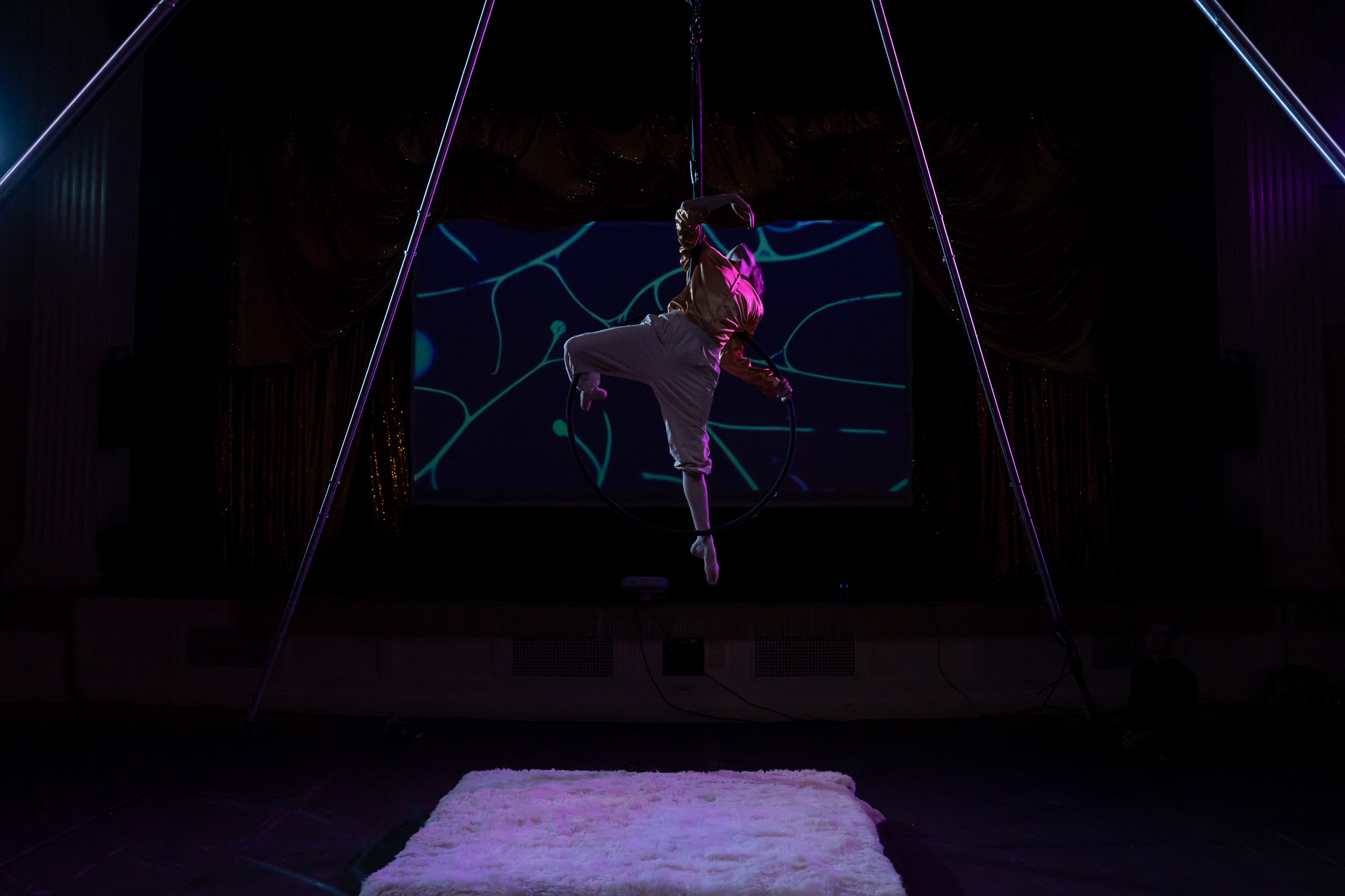 A screenshot of an interactive map which allows users to add layers of grasslands data alongside species lost data to see the correlation of each.