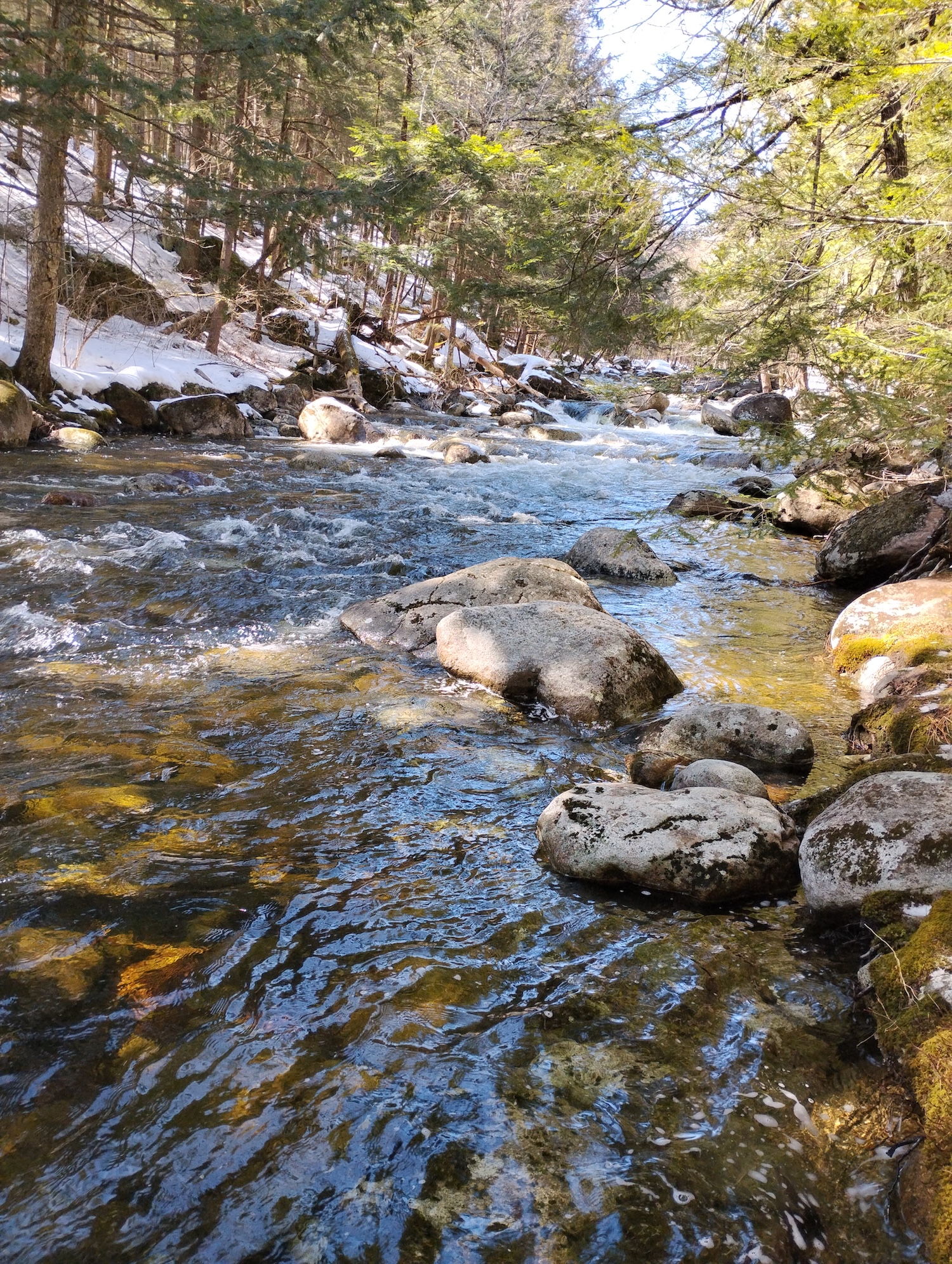 photo of the main watershed of hubbard brook.